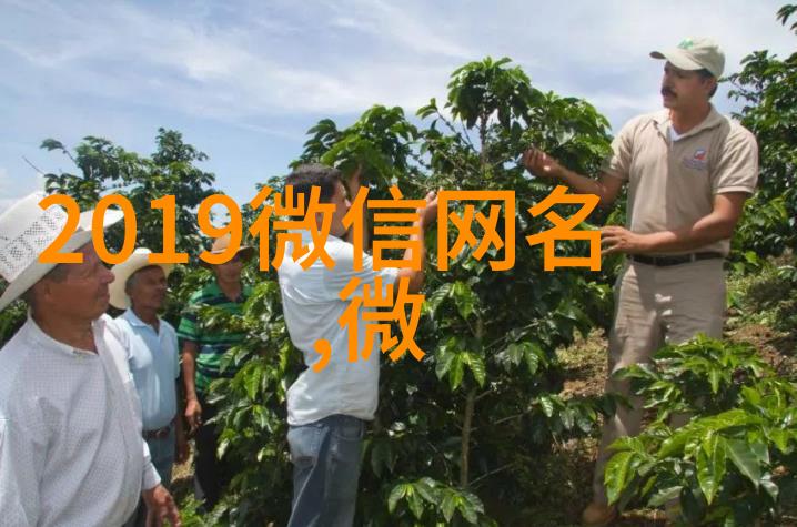 李青鸾刘恒小说全文大结局-李青鸾刘恒李青鸾刘恒小说全文免费阅读