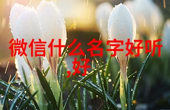 两字网名简单干净设计50个