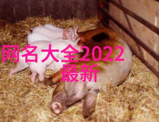 快穿之勾引上位宋庭屿全文结局番外宋庭屿全文免费阅读无弹窗大结局_(快穿之勾引上位宋庭屿全文结局番外)