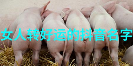 气质高雅网名推荐58个